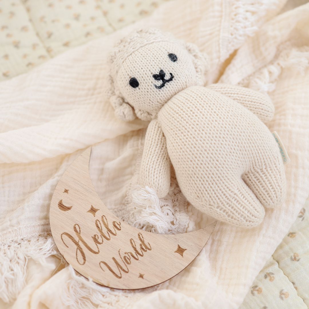 Wooden Month-by-Month Baby Milestone Set