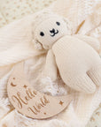Wooden Month-by-Month Baby Milestone Set