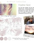 5-in-1 Cocoon- Feather Nest